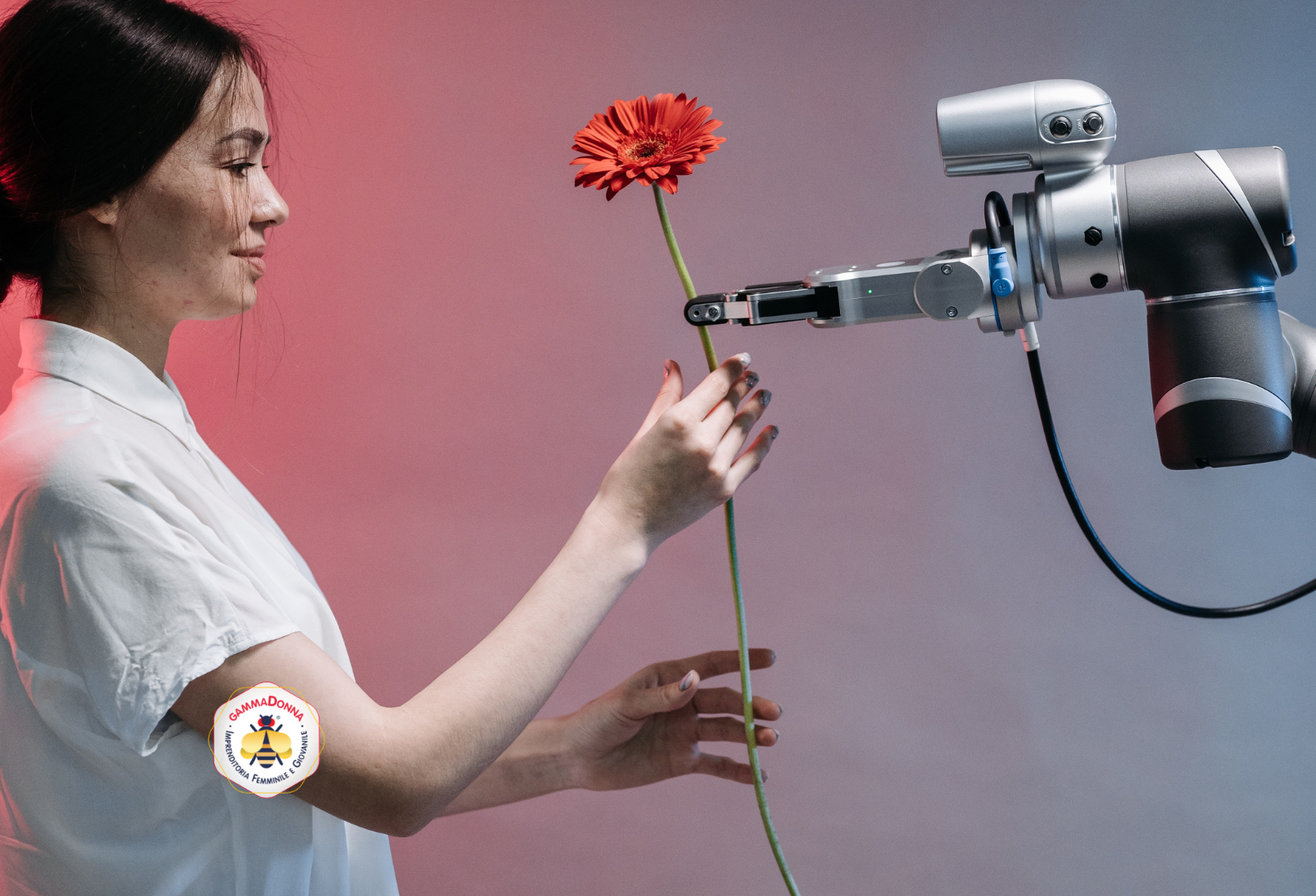 Cresce l’imprenditoria femminile innovativa